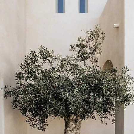 Akrorama Private Villas&suites *