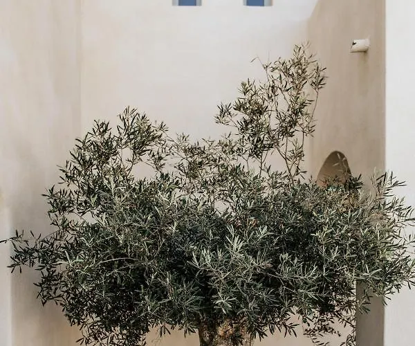 Akrorama Private And *